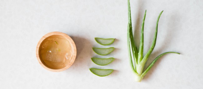Aloe Vera
