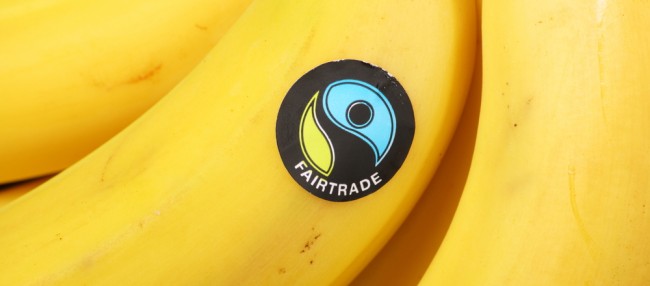 Bild-Fairtrade
