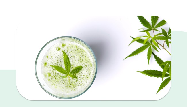 CBD in Lebensmitteln