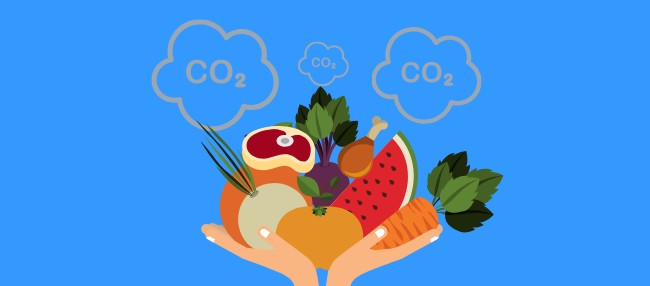 CO2 Emissionen