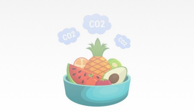 CO2 Obst