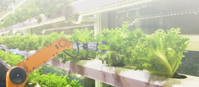 Future Food