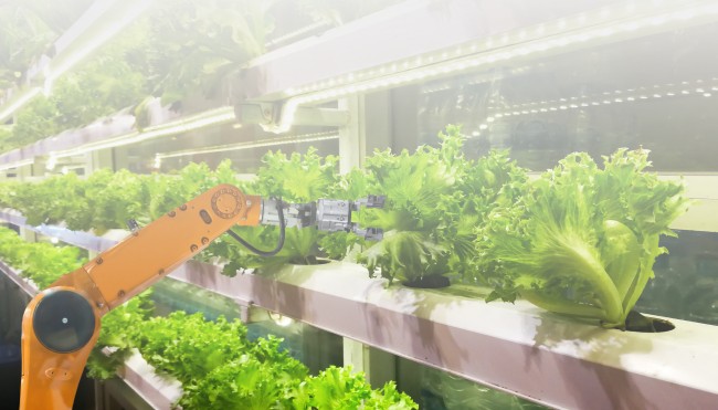 Future Food