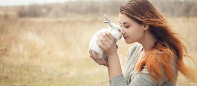 Hase Rabbit