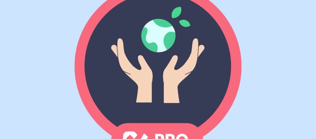 Header CodeCheck Pro