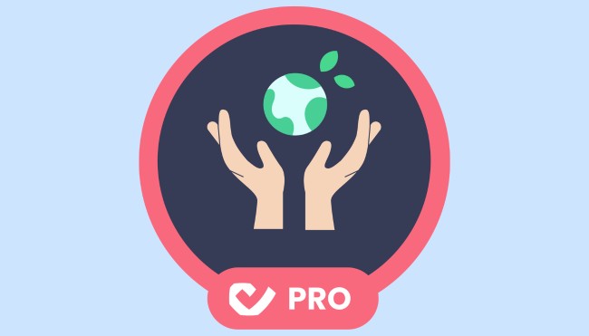 Header CodeCheck Pro