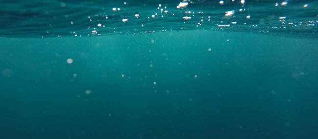 Mikroplastik