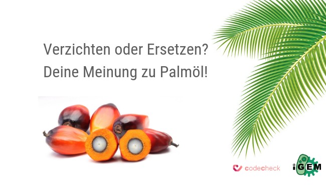 Palmöl Umfrage 1