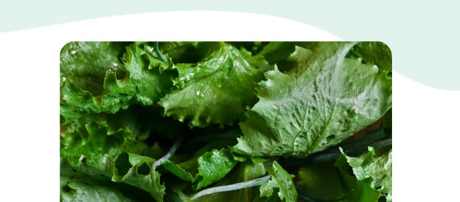 Salat