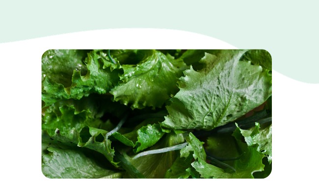 Salat