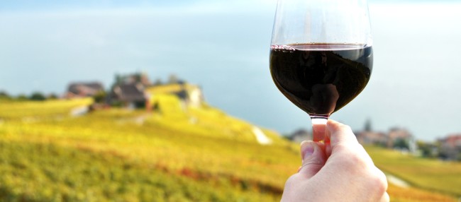 Wein