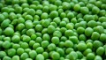 erbsen