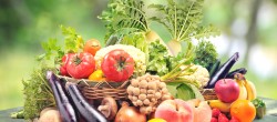 [final] Antioxidantien