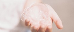 [final]  Matthew Tkocz / Unsplash 100