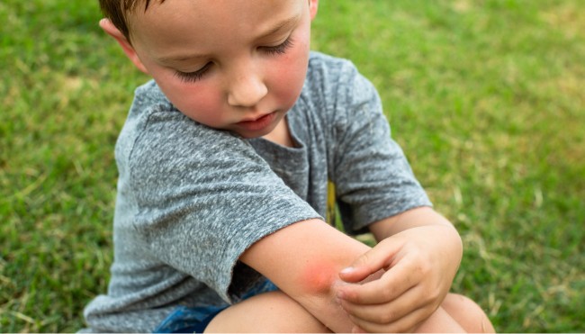 [final] Mückenmittel Illu neu 2