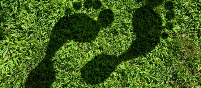 [final] Umweltfreundliche Lebensmittel