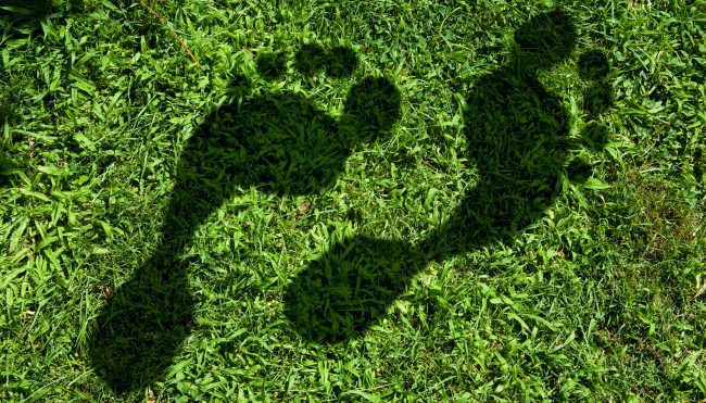 [final] Umweltfreundliche Lebensmittel