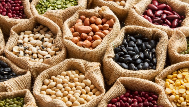 [final] Umweltfreundliche Lebensmittel Illu 4