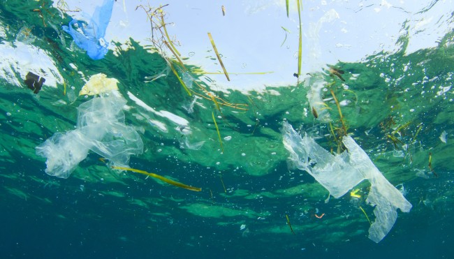 mikroplastik-200720135 Kopie