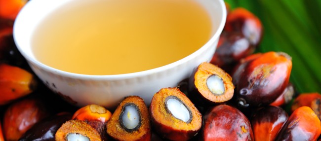 palmöl