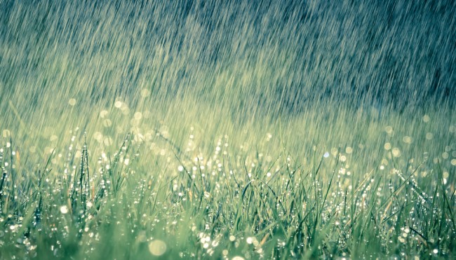 regen