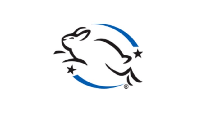 the leaping bunny